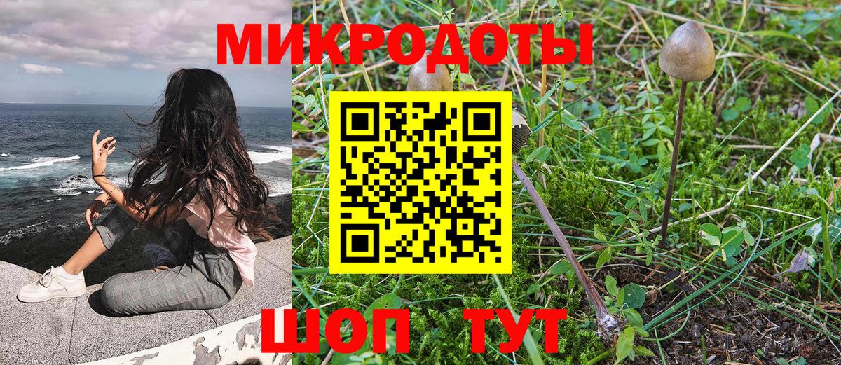 Балашиха  Псилоцибиновые грибы Psilocybe  Вход с VPN 