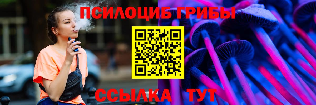 Галлюциногенные грибы Psilocybe Балашиха